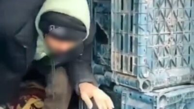 Düzce’de, yurda yasa dışı şekilde giriş yaptıkları belirlenen 7 kaçak