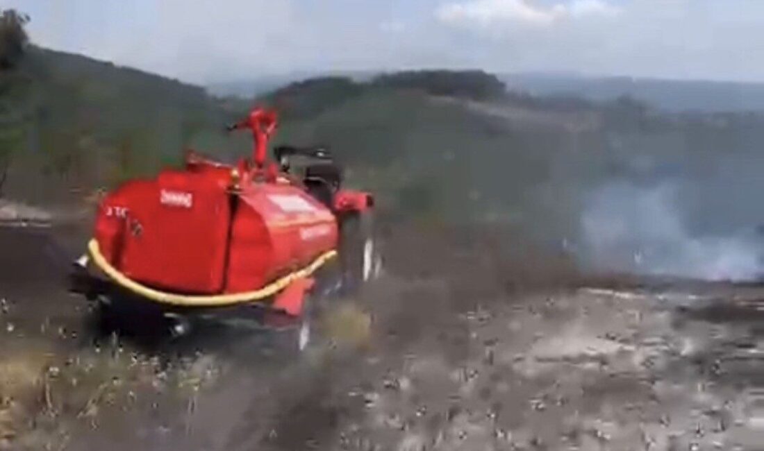 Düzce’deki Kozluk ve Nasırlı köyleri arasında bulunan bir fındık tarlasında
