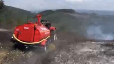Düzce’deki Kozluk ve Nasırlı köyleri arasında bulunan bir fındık tarlasında