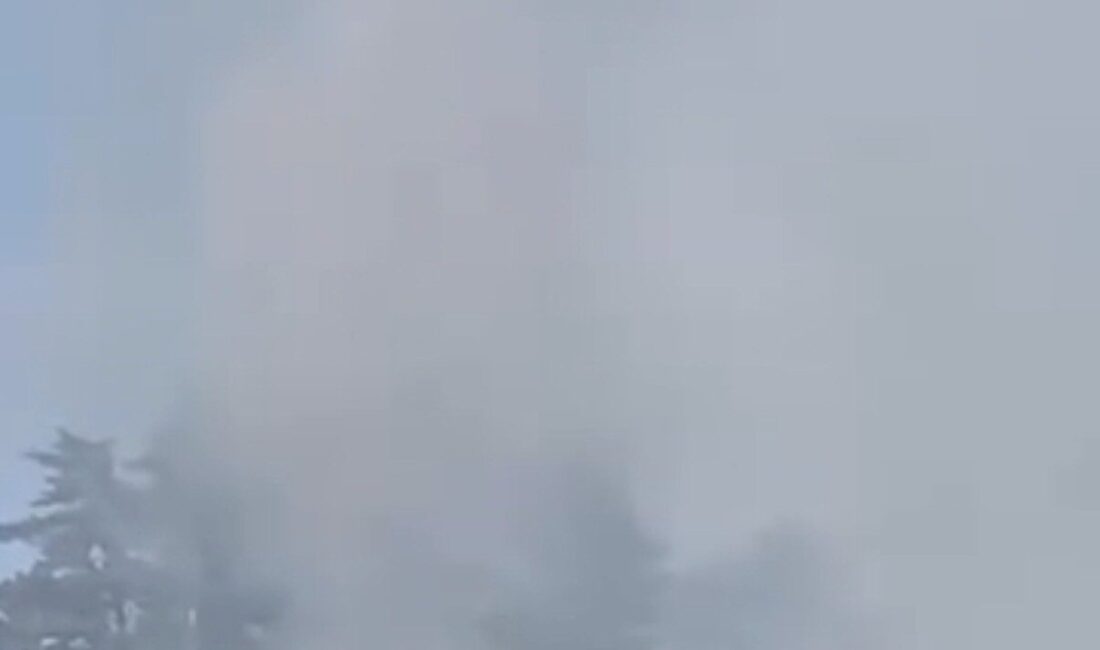 Düzce’nin Yığılca ilçesinde meydana gelen orman yangını, ekiplerin hızlı müdahalesiyle