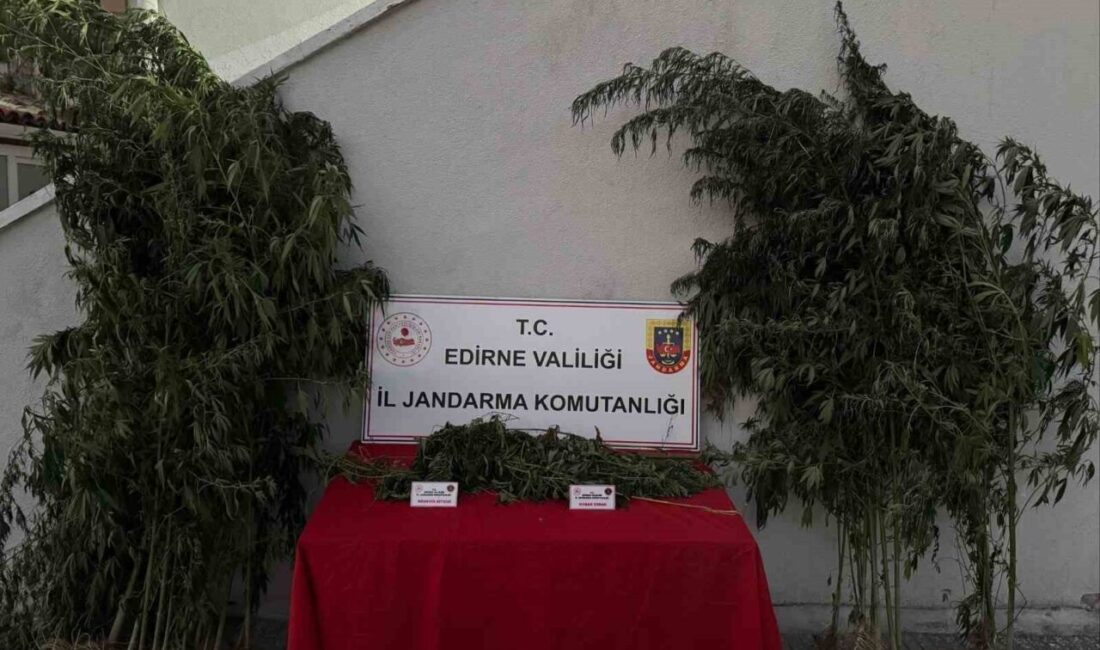 Edirne’nin Uzunköprü ilçesinde jandarma ekipleri tarafından yapılan operasyonda, kamuya ait
