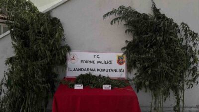 Edirne’nin Uzunköprü ilçesinde jandarma ekipleri tarafından yapılan operasyonda, kamuya ait