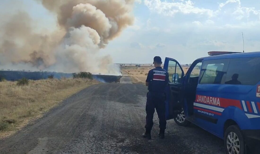 Havsa ilçesinde, Oğulpaşa köyü yakınlarında bir merada çıkan yangına köylülerin