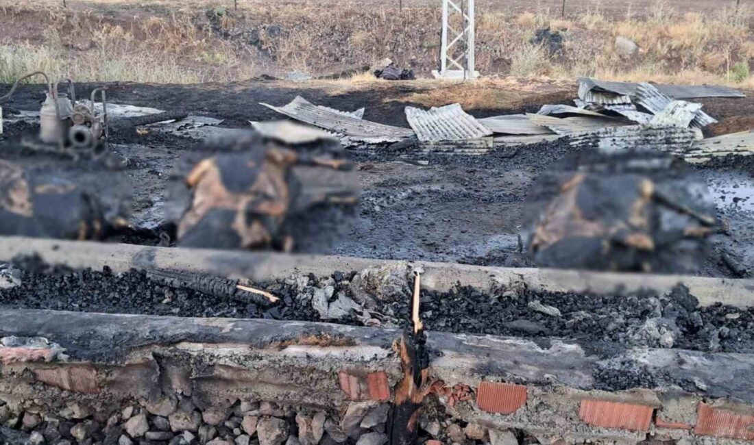 Elazığ’ın Kovancılar ilçesine bağlı Vali Fahribey köyünde, 10 gün önce