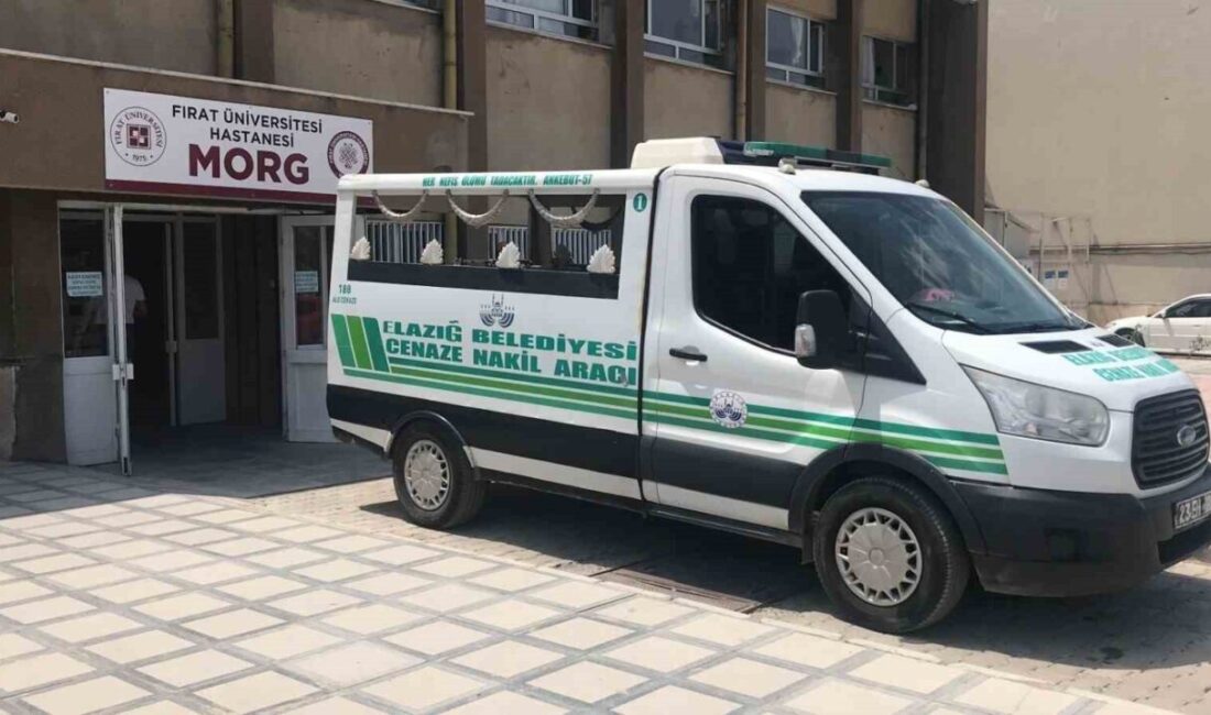 Elazığ’da bir adamın, ağıla kurt girmemesi için nöbet tutarken duyduğu