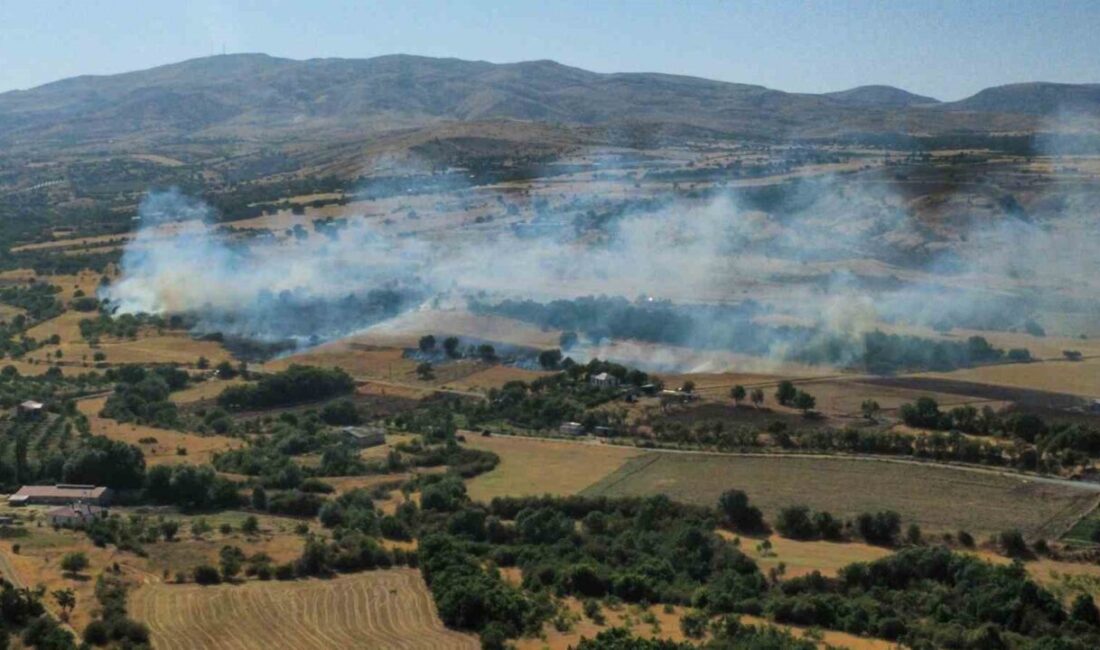 Elazığ’ın Sütlüce köyünde çıkan anız ve bahçe yangınına müdahale devam
