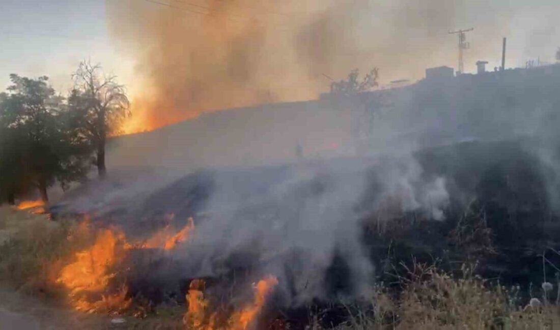 Elazığ’da, Aşağı Demirtaş köyünde mangal ateşinin sıçraması sonucu otluk alanda