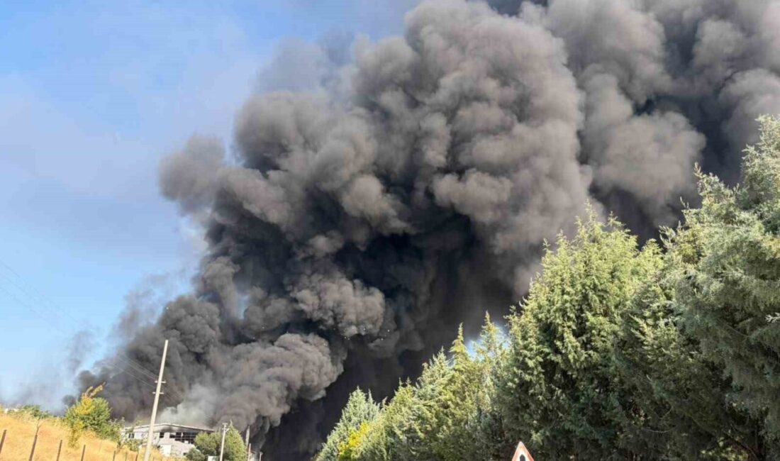 Elazığ şehrinde bir yalıtım fabrikasında çıkan yangın sırasında dumanlar, kentin