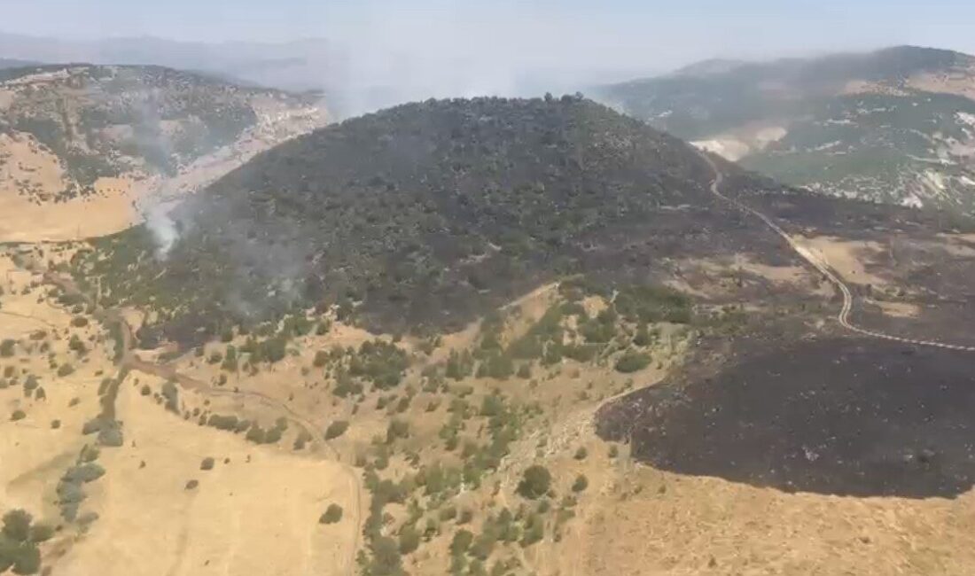 Elazığ’ın Karakoçan ilçesinde meydana gelen orman yangını, ekiplerin havadan ve