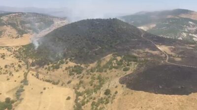 Elazığ’ın Karakoçan ilçesinde meydana gelen orman yangını, ekiplerin havadan ve