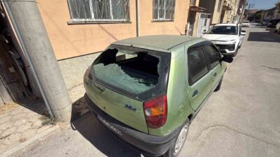Tepebaşı ilçesinde yer alan bir park alanında, elektrik direğinde bulunan