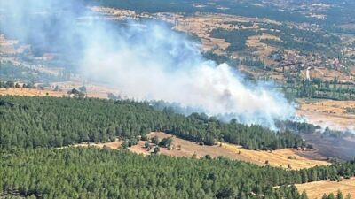 Emet ilçesinde meydana gelen orman yangını, ekiplerin etkili müdahalesi sayesinde