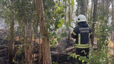 Salihler köyü kırsalında meydana gelen yangın, Emirdağ Belediyesi İtfaiye ekipleri