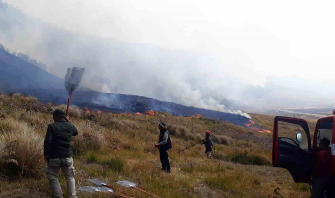 Bromo Dağı Milli Parkı, Endonezya’nın Doğu Java bölgesindeki yangında pazartesi