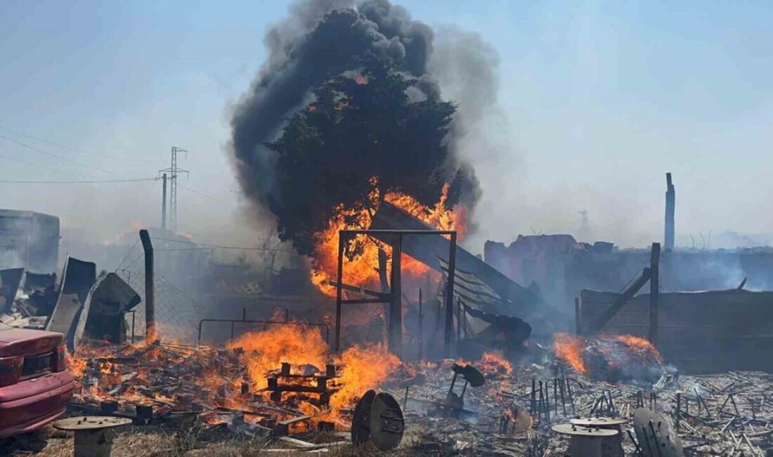 Tekirdağ’ın Ergene ilçesine bağlı Sağlık Mahallesi’nde meydana gelen anız yangını,