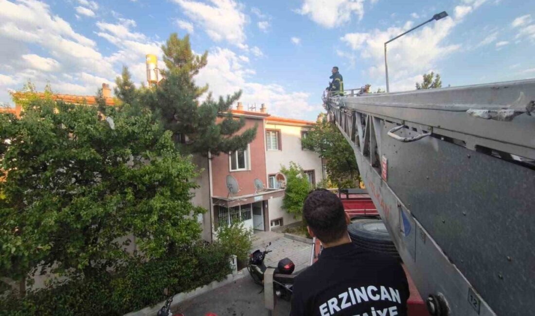 Erzincan’da Yavuz Selim Mahallesi 199. Sokak’ta bulunan bir apartmanın çatısında