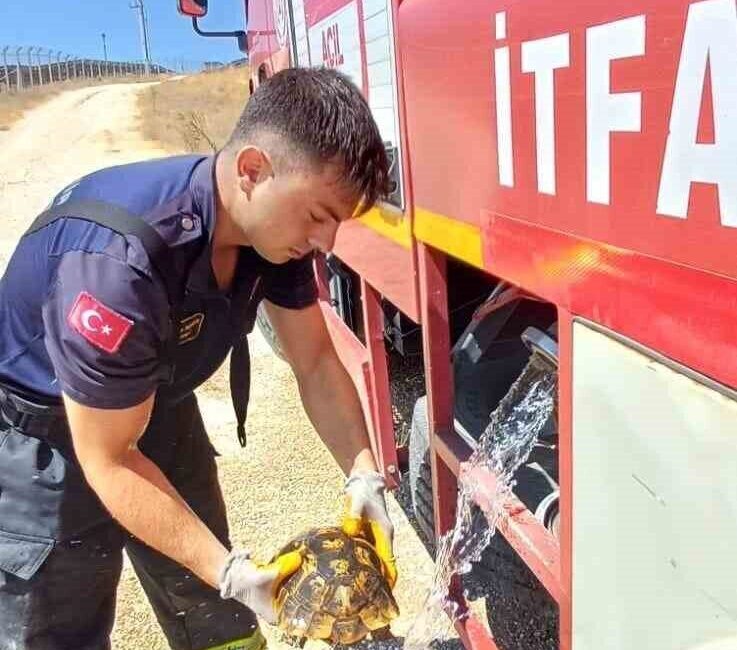 Eskişehir’de meydana gelen arazi yangını sırasında, alevlerin arasında kalan bir