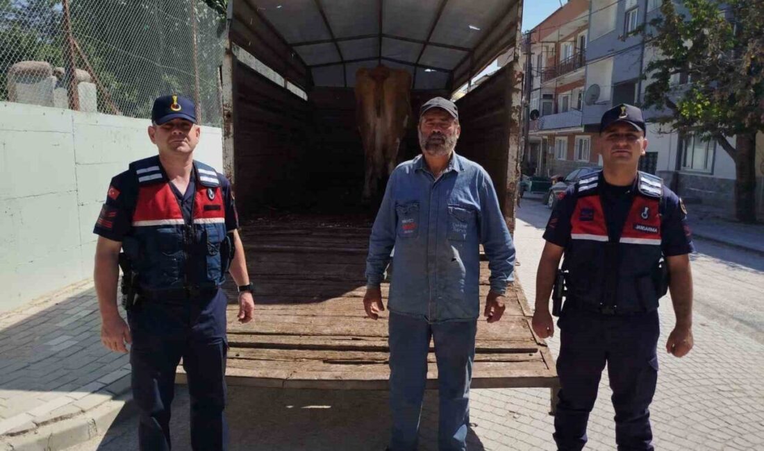 Eskişehir merkezine bağlı Yörükkaracaören Mahallesi’nde otlarken çalınan 4 büyükbaş hayvandan