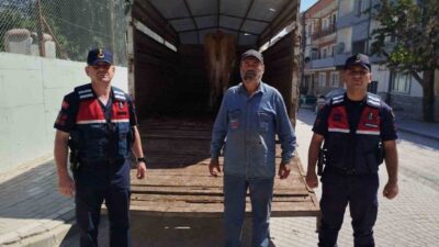 Eskişehir merkezine bağlı Yörükkaracaören Mahallesi’nde otlarken çalınan 4 büyükbaş hayvandan