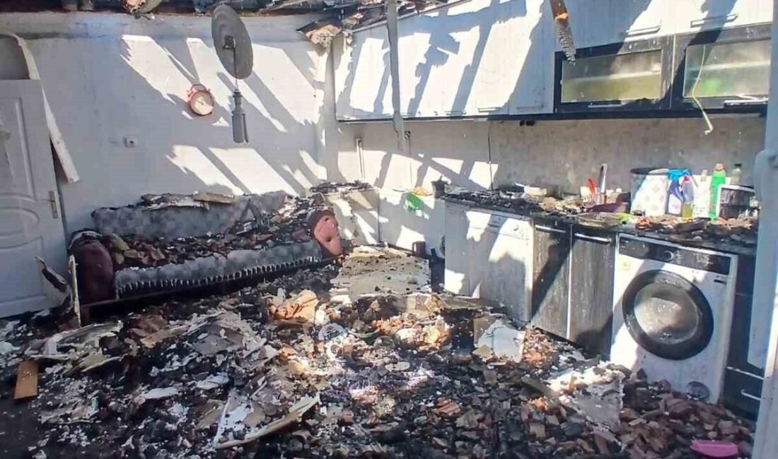 Günyüzü ilçesine bağlı Gümüşkonak Mahallesi Avşar Yaylası’nda bulunan bir müstakil
