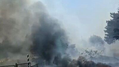 Eskişehir’de, Odunpazarı ilçesi 71 Evler Mahallesi’nde bulunan otluk alanda çıkan