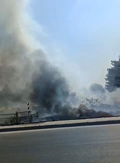 Eskişehir’de, Odunpazarı ilçesi 71 Evler Mahallesi’nde bulunan otluk alanda çıkan