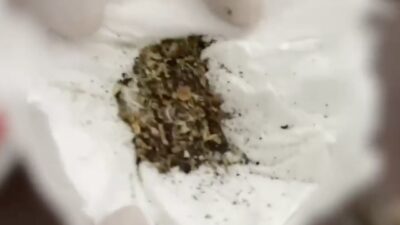 Sakarya’nın Adapazarı ve Akyazı ilçelerinde düzenlenen 2 ayrı uyuşturucu operasyonunda