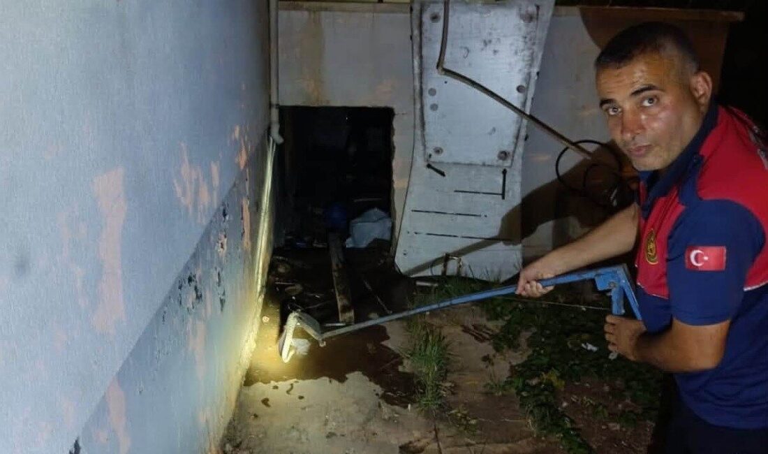 Besni ilçesindeki bir evin depo bölümüne sızan yılan, vatandaşlar arasında