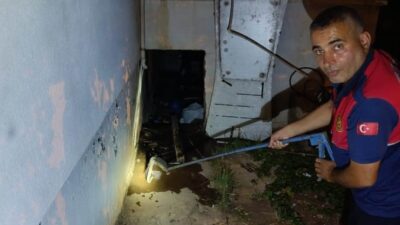 Besni ilçesindeki bir evin depo bölümüne sızan yılan, vatandaşlar arasında