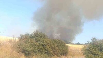 Çanakkale’nin Ezine ilçesinde otluk alanda başlayan yangına Orman Bölge Müdürlüğü
