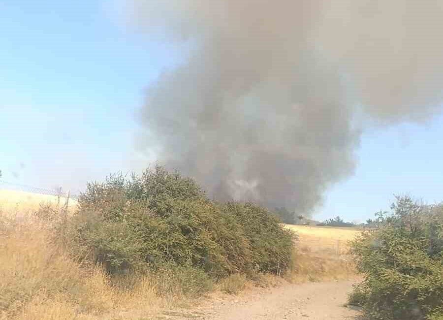 Çanakkale’nin Ezine ilçesinde otluk alanda başlayan yangına Orman Bölge Müdürlüğü