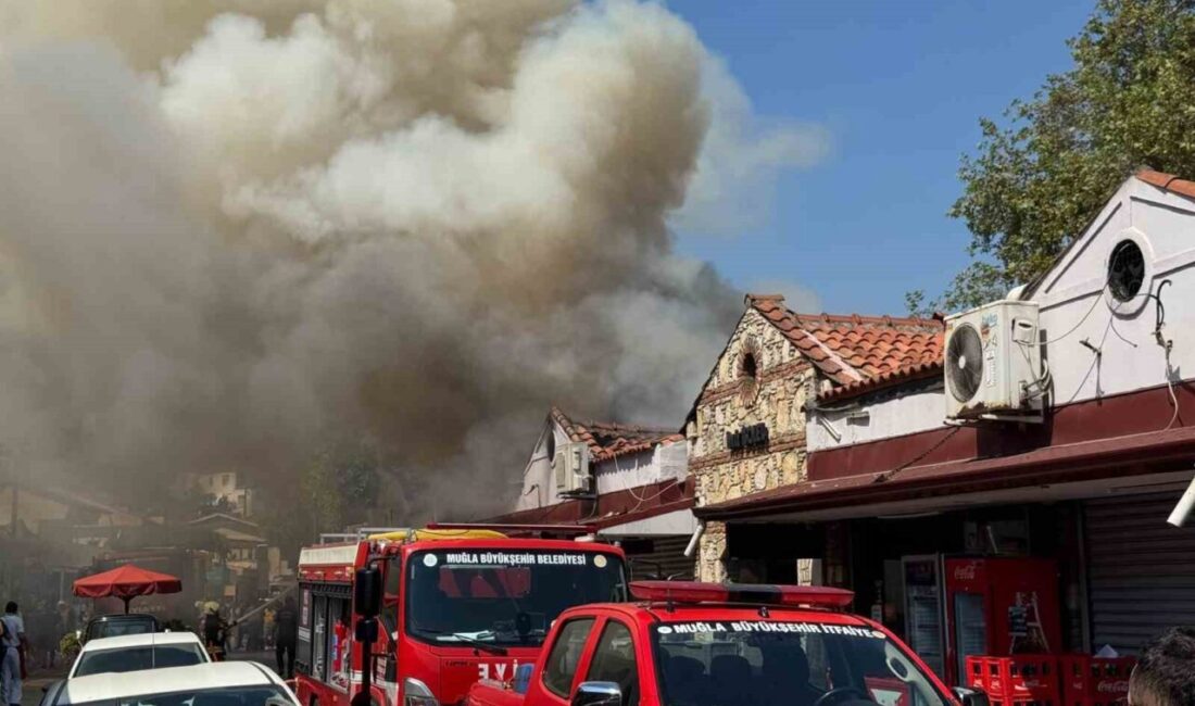 Muğla’nın Fethiye ilçesinde bulunan balık halinde çıkan yangın, ekiplerin hızlı
