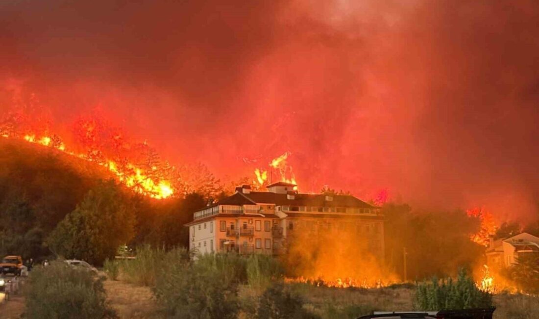 Muğla’nın Fethiye ilçesinde, şehir merkezine yakın bir noktada bulunan ormanlık