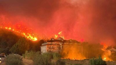 Muğla’nın Fethiye ilçesinde, şehir merkezine yakın bir noktada bulunan ormanlık