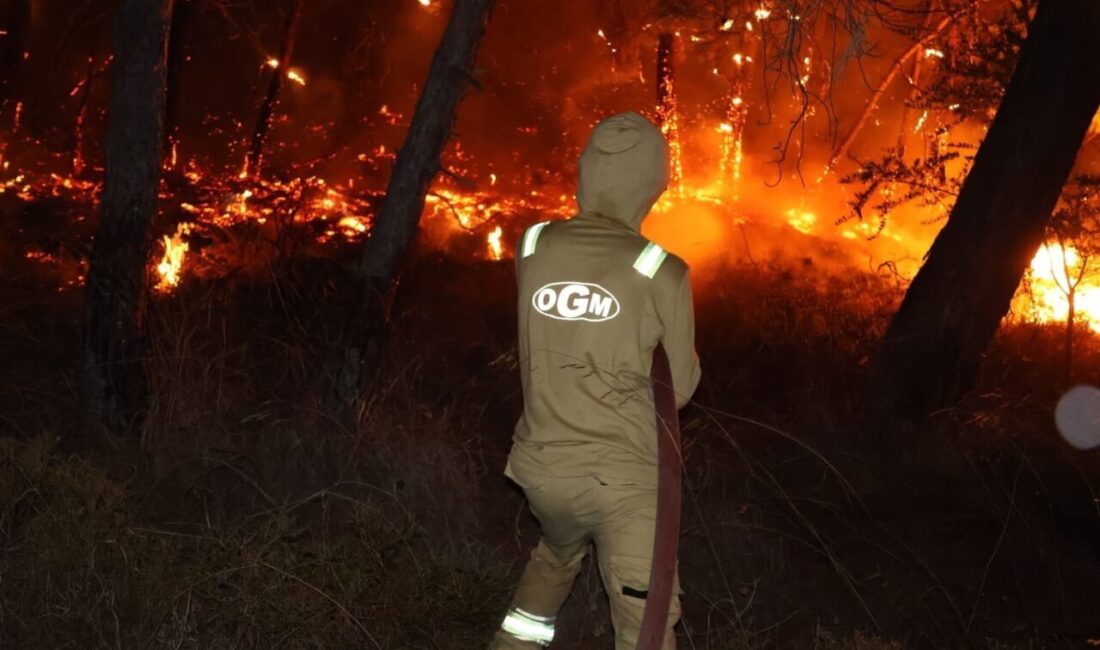 Muğla’nın Fethiye ilçesinde Karagedik Mahallesi yakınlarında ormanlık alanda başlayan yangın,