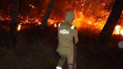 Muğla’nın Fethiye ilçesinde Karagedik Mahallesi yakınlarında ormanlık alanda başlayan yangın,
