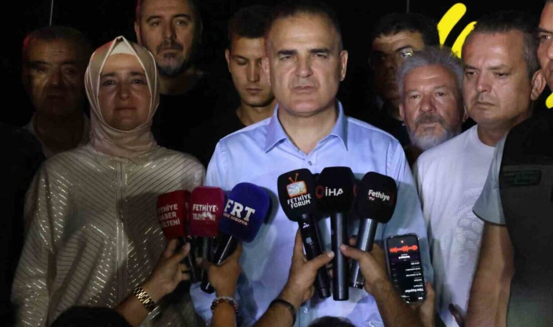 Muğla’nın Fethiye ilçesine bağlı Karagedik Mahallesi yakınlarındaki ormanlık alanda çıkan