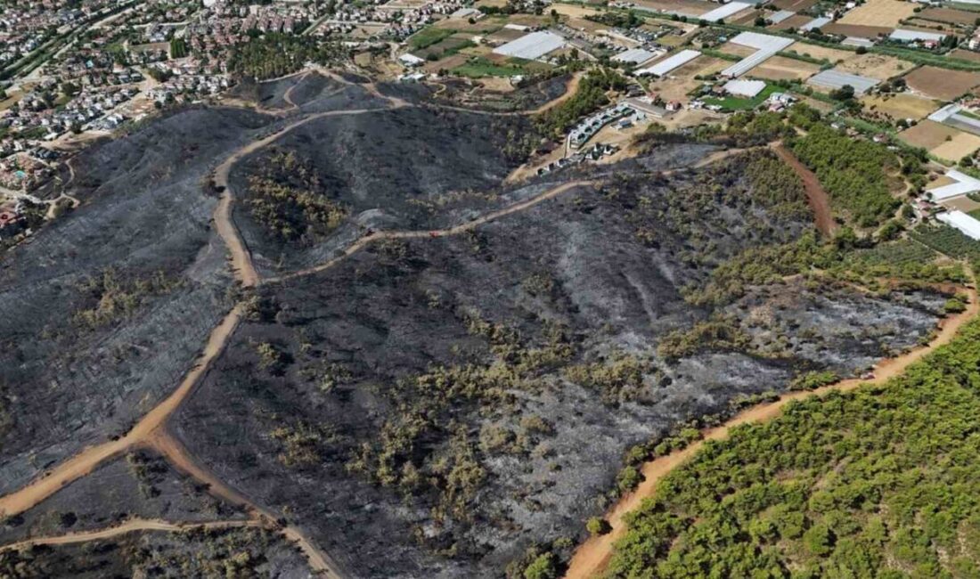 Muğla’nın Fethiye ilçesinde dün akşam meydana gelen orman yangını, havadan