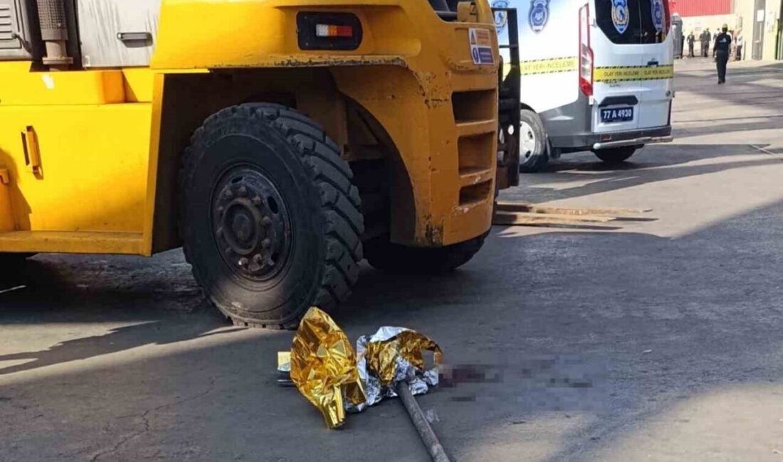 Yalova’nın Altınova ilçesindeki tersaneler bölgesinde meydana gelen bir kazada, Özkan