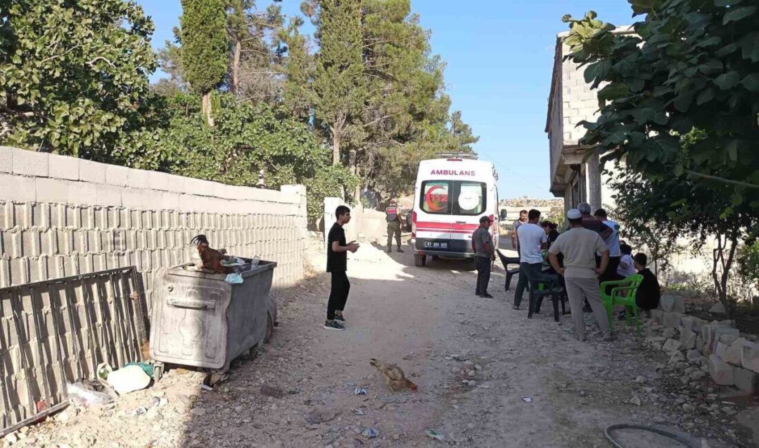 Şanlıurfa’nın Birecik ilçesinde, genç bir kadın fotoğraf çekmek isterken dengesini