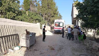 Şanlıurfa’nın Birecik ilçesinde, genç bir kadın fotoğraf çekmek isterken dengesini