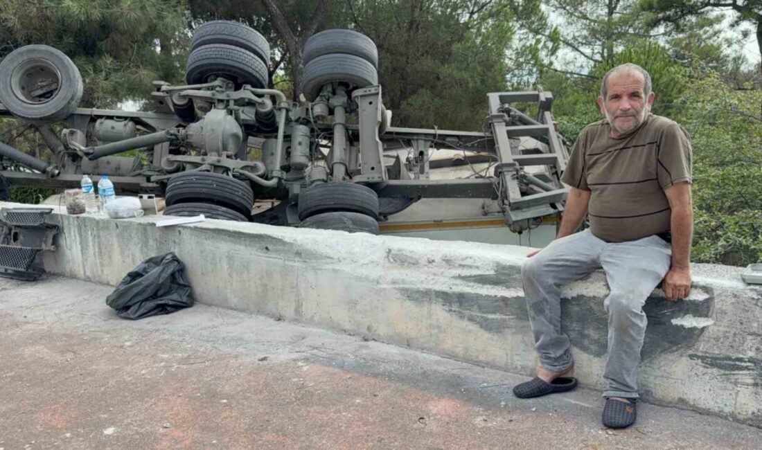 Atakum ilçesinde meydana gelen olayda, freni bozulan bir kamyonun Veteriner