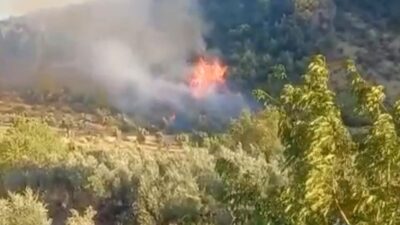 Gaziantep İslahiye ilçesinde meydana gelen orman yangını, hem havadan hem