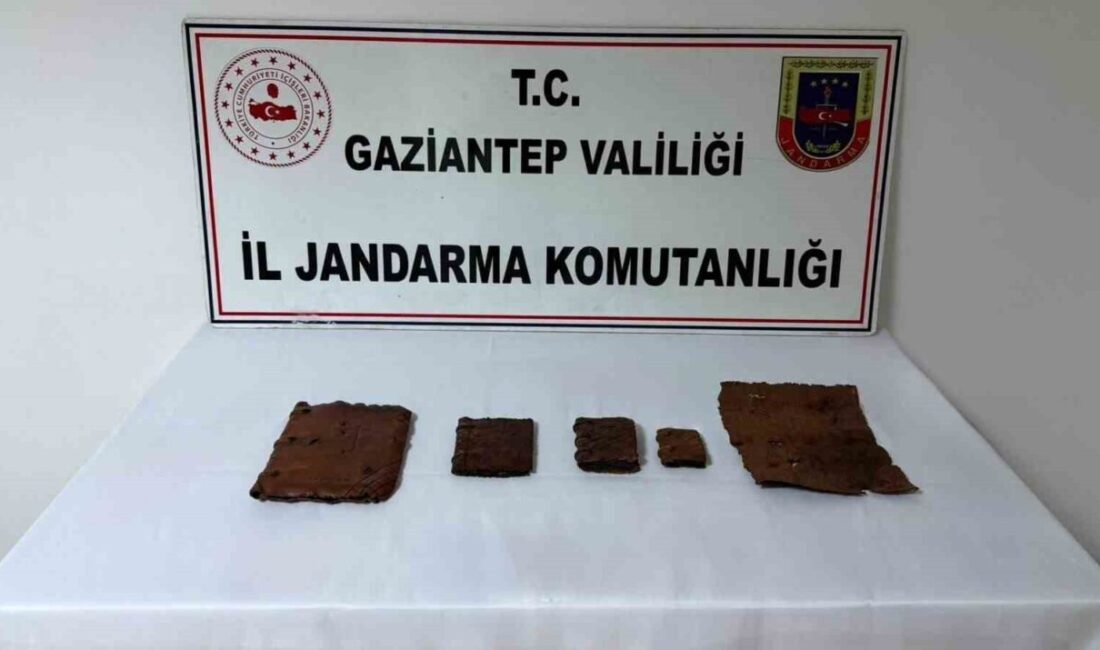 Gaziantep’in Araban ilçesinde gerçekleştirilen jandarma operasyonunda, deri kaplı ve üzerlerinde