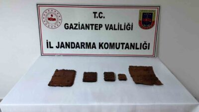Gaziantep’in Araban ilçesinde gerçekleştirilen jandarma operasyonunda, deri kaplı ve üzerlerinde
