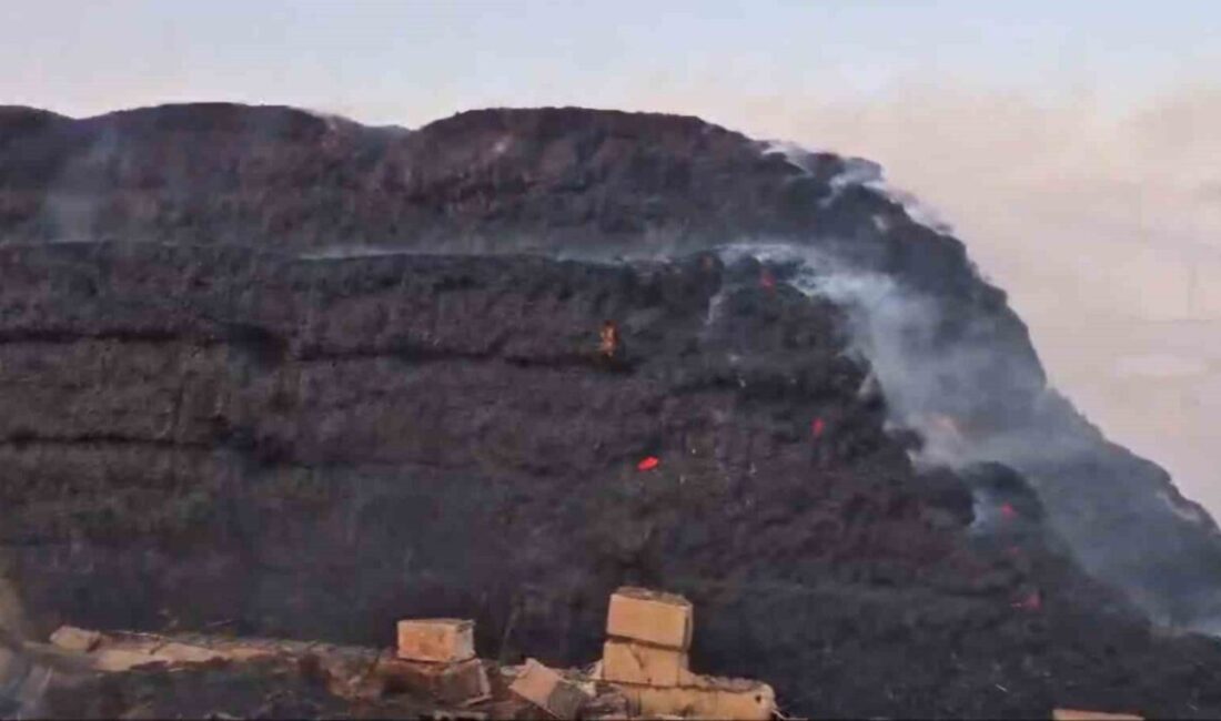 Gaziantep’in İslahiye ilçesindeki kırsal alanda meydana gelen yangında binlerce dönüm