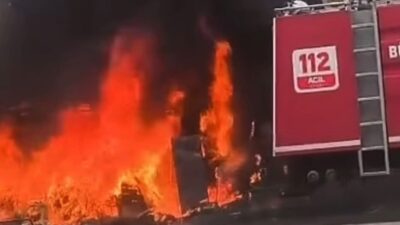 Gaziantep’te iddiaya göre ruhsatsız faaliyet gösteren bir petshop’ta çıkan yangında