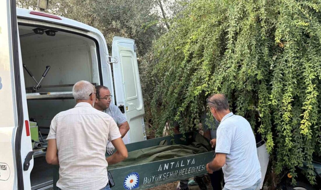 Antalya’nın Gazipaşa ilçesinde evinin merdiveninde ölü bulunan bir kişi için