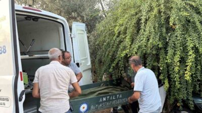 Antalya’nın Gazipaşa ilçesinde evinin merdiveninde ölü bulunan bir kişi için