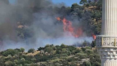 Kocaeli’nin Gebze ilçesinde ormanlık alanda yangın çıktı. Yangın, Mollafenari mahallesinde